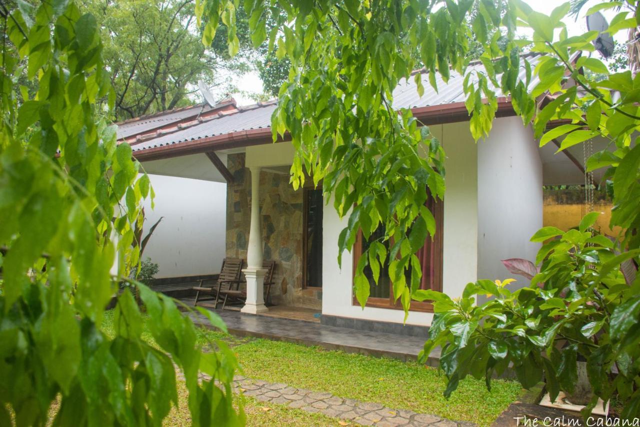 The Calm Cabana Дамбулла Екстер'єр фото